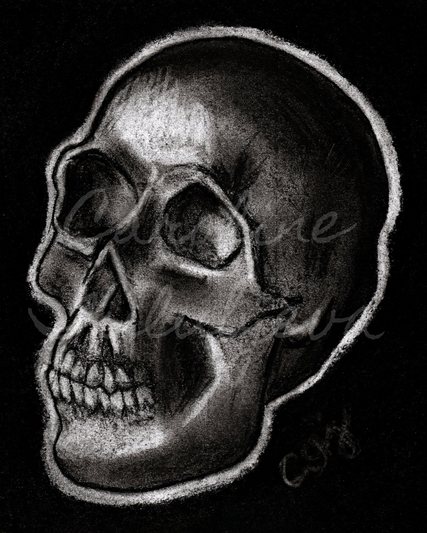 Skull (Kunstdruck)